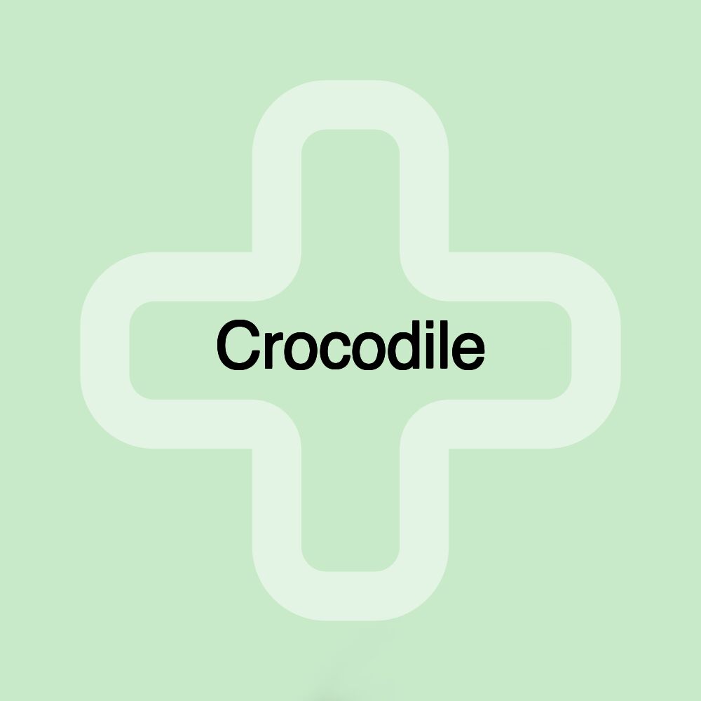 Crocodile