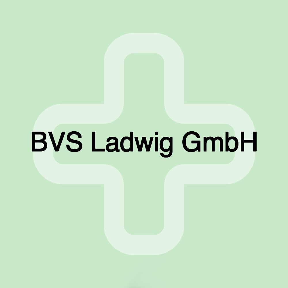 BVS Ladwig GmbH