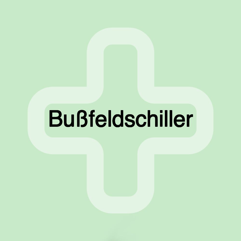 Bußfeldschiller