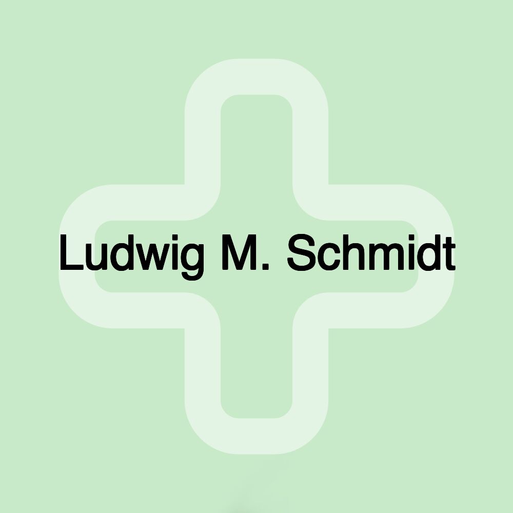 Ludwig M. Schmidt