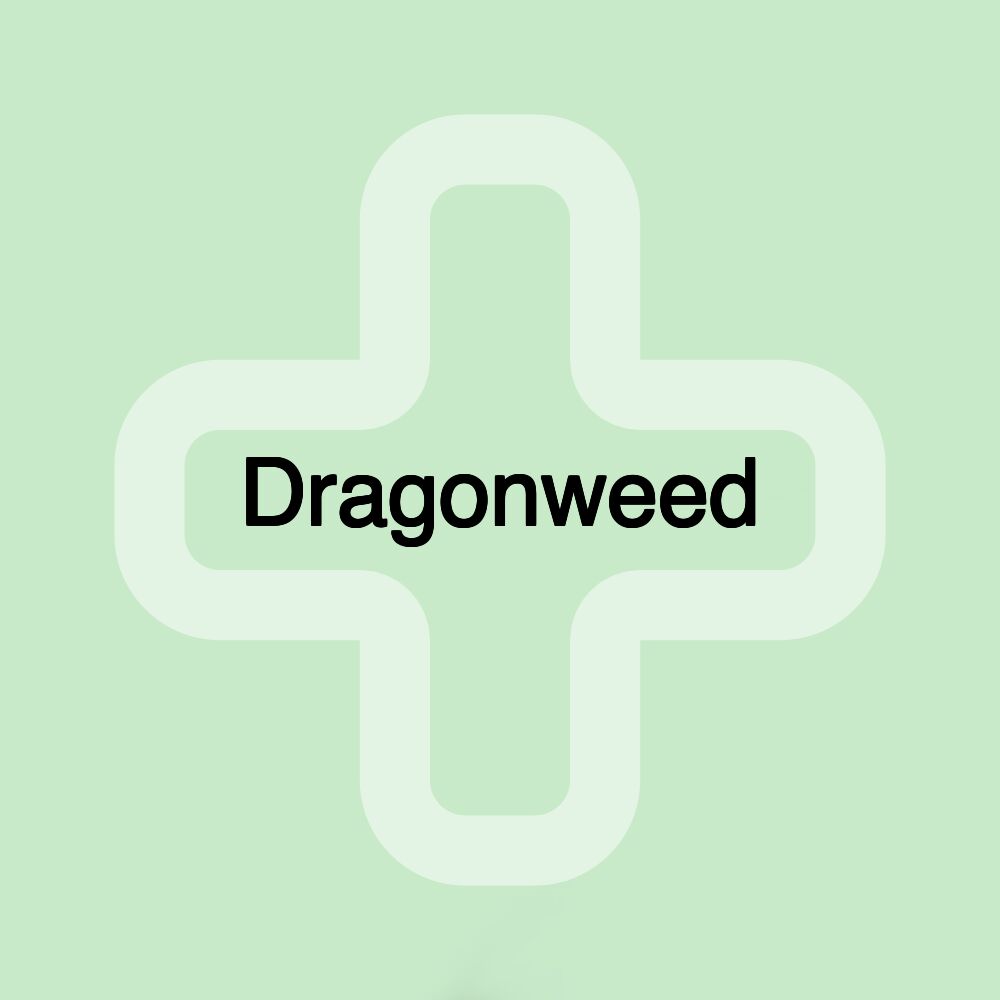 Dragonweed